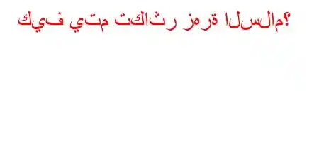 كيف يتم تكاثر زهرة السلام؟